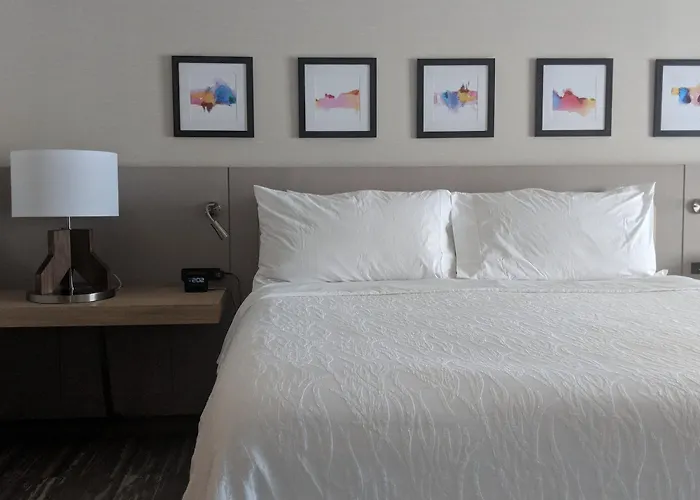 Hilton Garden 3* Evanston