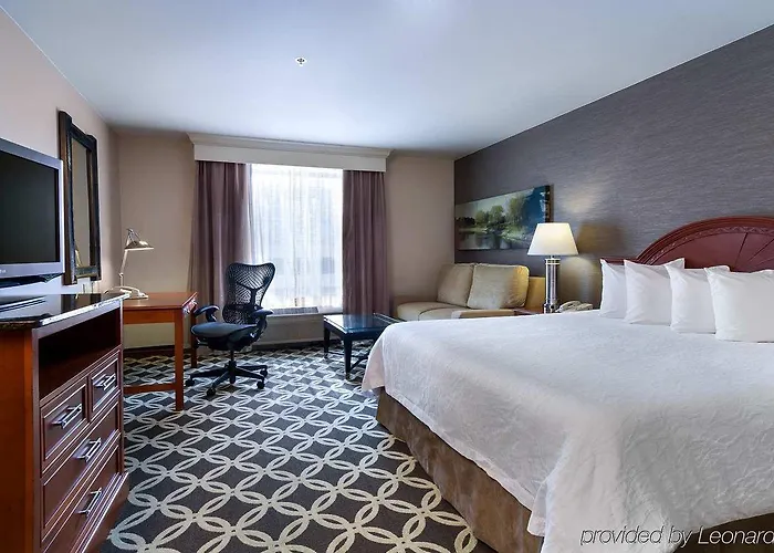Hotel Hilton Garden 3*